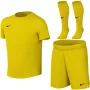 Nike Dri-FIT Park VIII conjunto de futebol criança amarelo HV8260 719 XL
