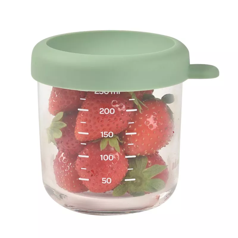 BEABA Recipiente de vidro para alimentos de bebé com tampa hermética 250 ml Verde-salva
