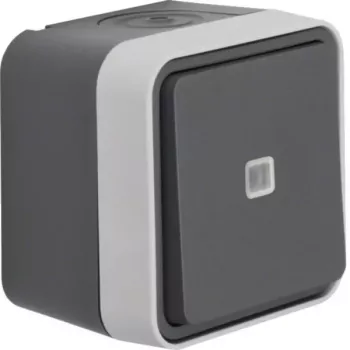 Interruptor de comutação com luz de controlo Hager WNC003, saliente, IP55, cinzento