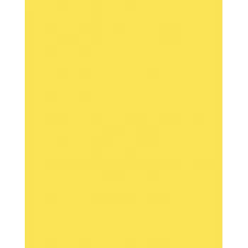 Folia 614/50 12 Cartão amarelo A4 300 g/m² 50 folhas
