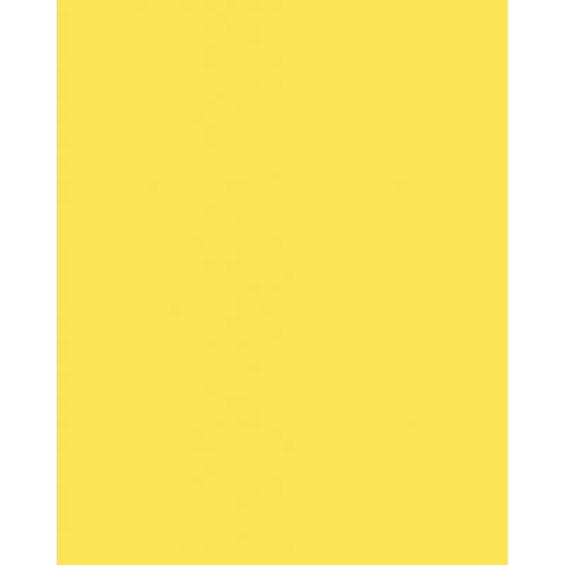 Folia 614/50 12 Cartão amarelo A4 300 g/m² 50 folhas