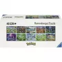 RAVENSBURGER Pokémon Celebration Journey puzzle de 40000 peças