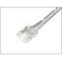 Synergy 21 LED Flex Strip COB IP20 conector + fio, cor única, 10mm