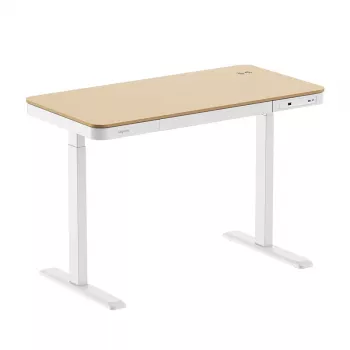 Secretária LogiLink com regulação de altura, motor único, 118x60cm, com carregamento sem fios, branco