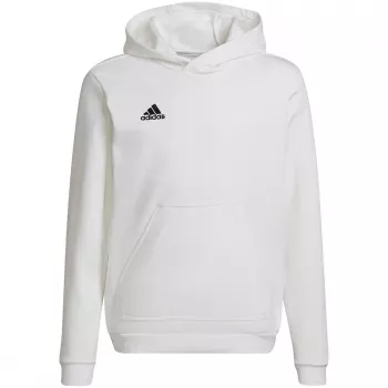 Sweatshirt com capuz adidas Entrada 22 criança branco HG6303 (152 cm)