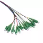 Conjunto de pigtails de fibra LogiLink 12 x LC/APC OS2 (G657.A1), 2 m, colorido, conector verde