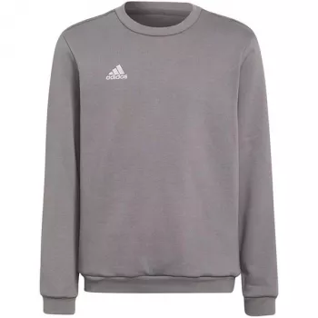 Sweatshirt adidas Entrada 22 para criança cinzento H57477 (116 cm)