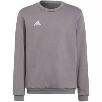 Sweatshirt adidas Entrada 22 para criança cinzento H57477 (116 cm)