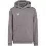 Sweatshirt com capuz adidas Entrada 22 para criança cinzento 116 cm