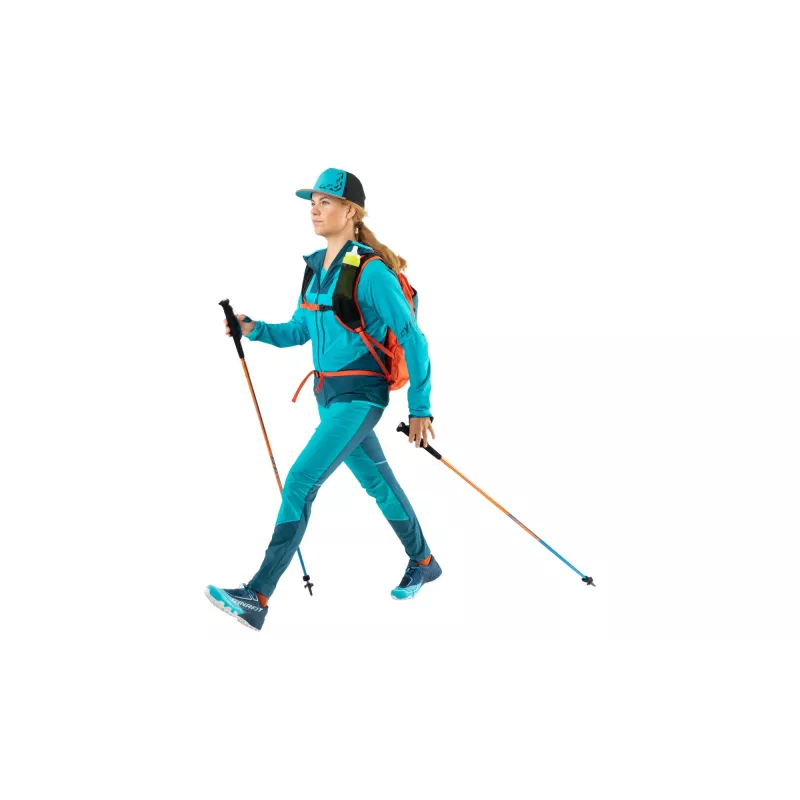 Bastões de trail running SALEWA Dynafit Vertical Pole 110 cm General Lee / Methyl Blue