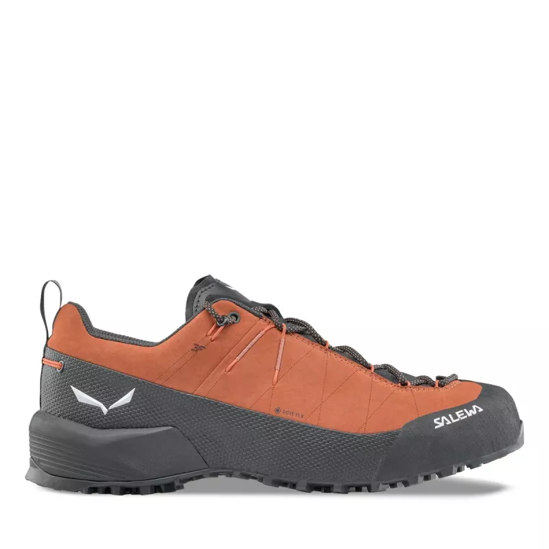 Sapatos de aproximação Salewa Wildfire Leather 2 GTX castanho-preto