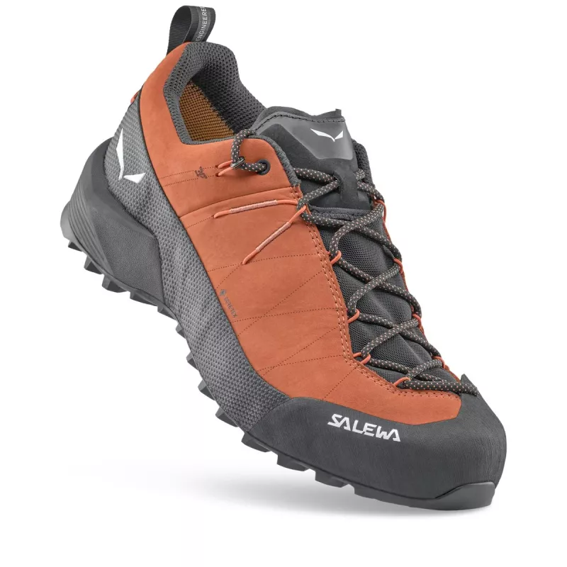 Sapatos de aproximação Salewa Wildfire Leather 2 GTX castanho-preto