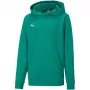 Sweatshirt com capuz PUMA teamGOAL 23 Casuals júnior verde-floresta 128