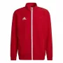adidas Casaco de apresentação Entrada 22 vermelho XL