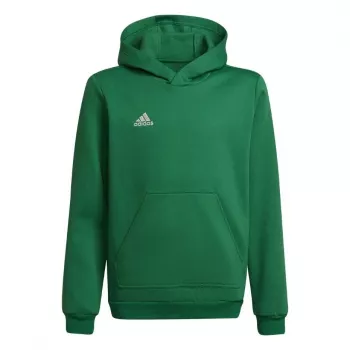 adidas Entrada 22 Hoody criança sweatshirt verde 116cm
