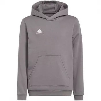 adidas Entrada 22 sweatshirt com capuz criança cinzento 152 cm