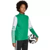 Sweatshirt de treino adidas Squadra 25 Criança Verde/Branco JP3160 164cm