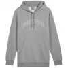 Sweatshirt com capuz PUMA Essentials+ Logo LAB Gradient FL Grey homem em felpa tamanho L
