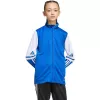 adidas Squadra 25 casaco de treino júnior Team Royal Blue/branco 140cm