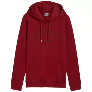 PUMA homem Essentials+ Logo LAB Hoodie FL Bordeaux tamanho L