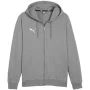 Sweatshirt com capuz PUMA Team Goal Casuals cinzento