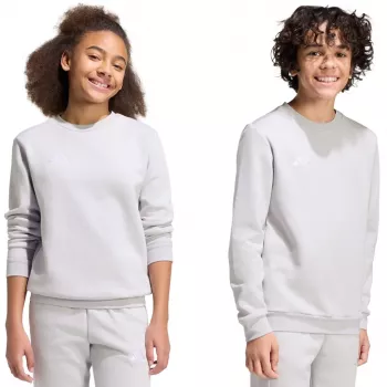 adidas Entrada 26 Sweat Top Criança Cinzento 140 cm JZ6551