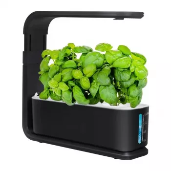 Vaso hidropónico inteligente ZG1001 Preto – jardim interior 6-Pod com LED de espetro completo, controlo por app Wi-Fi, reservatório 2,5L