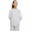 Sweatshirt adidas Squadra 25 Crew para criança - cinzento (JD4824) 164cm