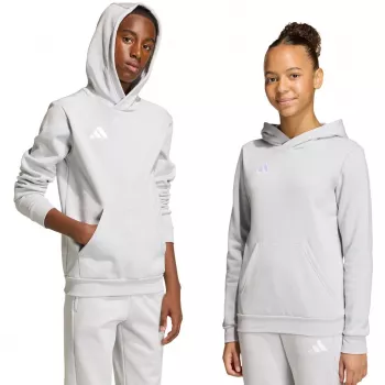 adidas Entrada 26 Hoodie de criança cinzento JZ6562 (164 cm)