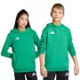 Sweatshirt com capuz adidas Entrada 26 para criança JZ6563 Team Green 152 cm