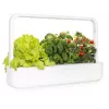 Click & Grow Smart Garden 9 horta interior de ervas e legumes com lâmpadas LED de crescimento, autorrega, 9 cápsulas de plantas, branco