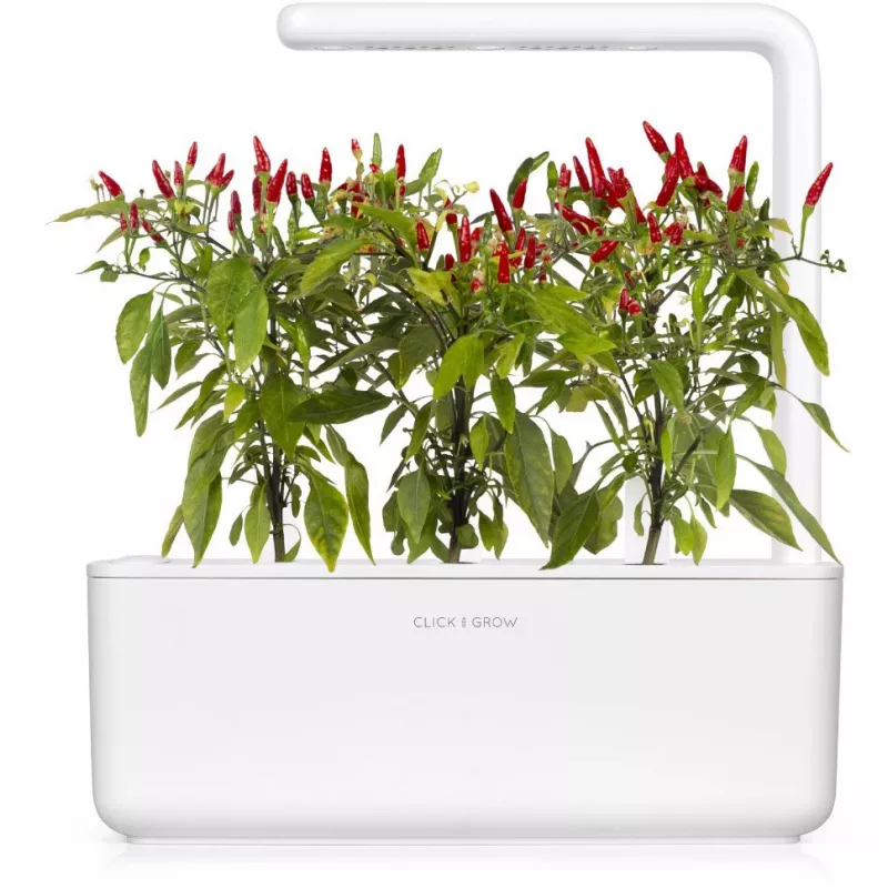 Click & Grow cápsulas de plantas piri-piri chili para Smart Garden, pack de 3 (SGR67X3)