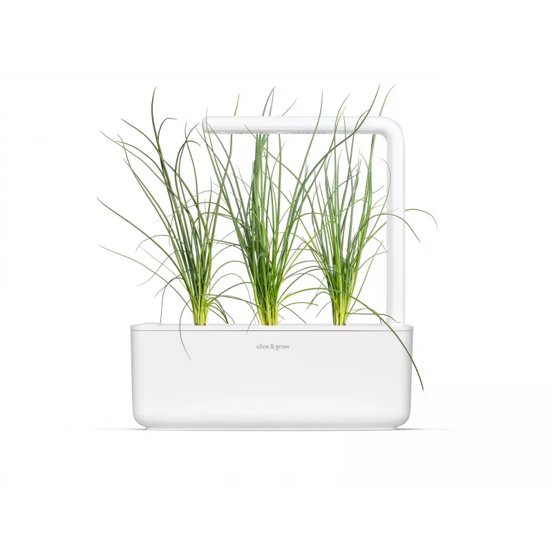 Click & Grow Smart Garden recarga, 3 cápsulas de plantas (SGR105X3)