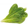 Click & Grow SGR50X3 recarga de cápsulas de plantas de alface (pack de 3)