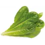 Click & Grow SGR50X3 recarga de cápsulas de plantas de alface (pack de 3)