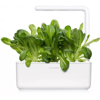 Click & Grow SGR50X3 recarga de cápsulas de plantas de alface (pack de 3)