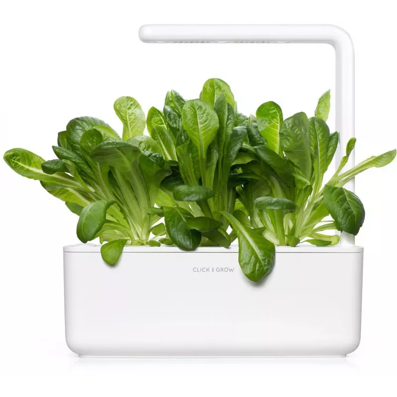 Click & Grow SGR50X3 recarga de cápsulas de plantas de alface (pack de 3)