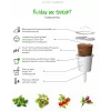 Click & Grow SGR50X3 recarga de cápsulas de plantas de alface (pack de 3)
