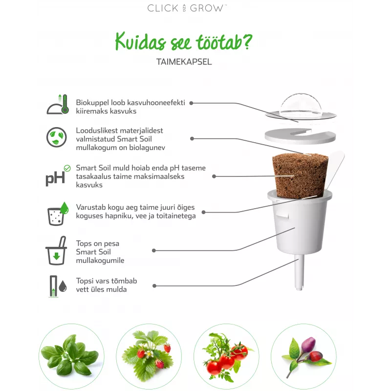 Click & Grow SGR50X3 recarga de cápsulas de plantas de alface (pack de 3)