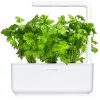 Click & Grow cápsulas de aipo de corte para Smart Garden, pack de 3 (SGR97X3)