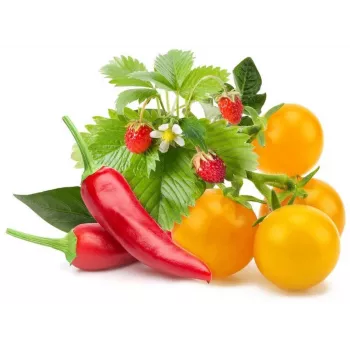 Click & Grow cápsulas de plantas de frutas e legumes para Smart Garden, pack de 9 (PPMFVX9)