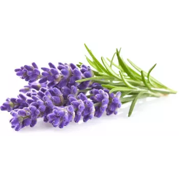 Click & Grow Smart Garden recarga lavanda, 3 cápsulas de plantas (SGR30X3)