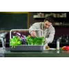 Click & Grow Smart Garden 9, cinzento (SG9S8UNI)