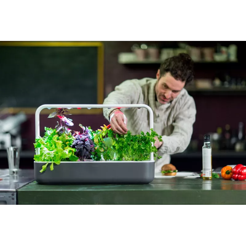 Click & Grow Smart Garden 9, cinzento (SG9S8UNI)