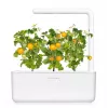 Click and Grow Smart Garden Refill pack de 3 cápsulas de plantas de mini tomate