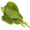 Click & Grow Smart Garden recarga de acelga verde, 3 cápsulas de plantas (SGR64X3)