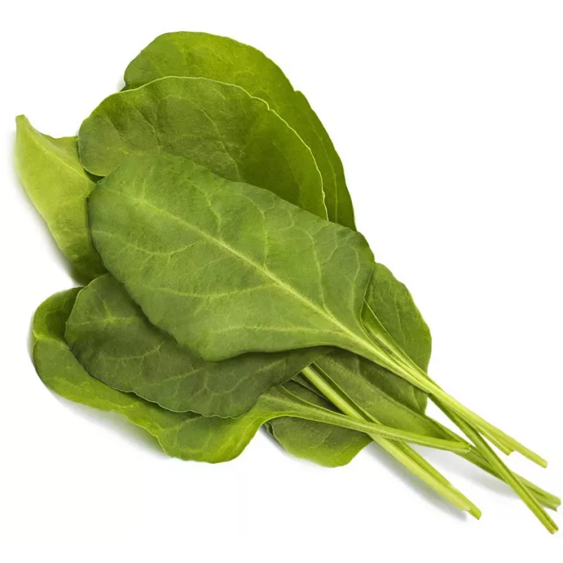 Click & Grow Smart Garden recarga de acelga verde, 3 cápsulas de plantas (SGR64X3)
