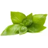 Cápsulas de manjericão-limão Click & Grow para Smart Garden, pack de 3 (SGR76X3)