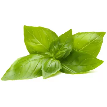 Cápsulas de manjericão-limão Click & Grow para Smart Garden, pack de 3 (SGR76X3)