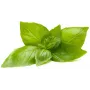 Cápsulas de manjericão-limão Click & Grow para Smart Garden, pack de 3 (SGR76X3)